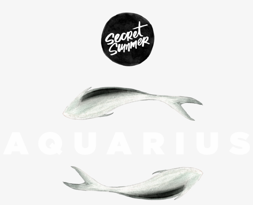 Secret Summer - Aquarius - Sustainable Seafood, transparent png