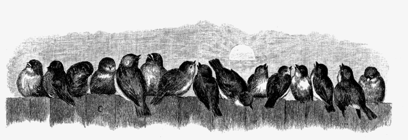 This Is Such A Wonderfully Charming Bird Image, Especially - Birds Fence Bt Beach Towel, transparent png
