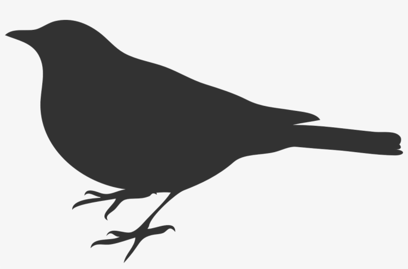 Bird Outline Gray Svg Clip Arts 600 X 380 Px, transparent png