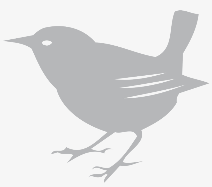 Scott Free Bird - Scott Free Logo Bird, transparent png