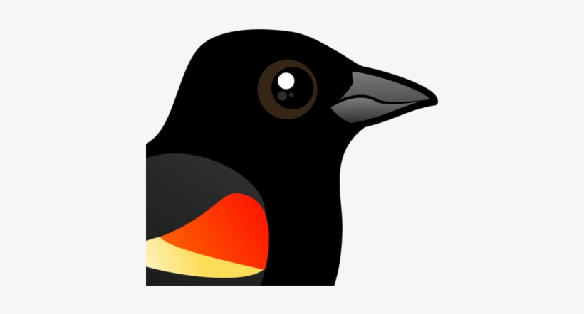 About The Red-winged Blackbird - Red-winged Blackbird, transparent png