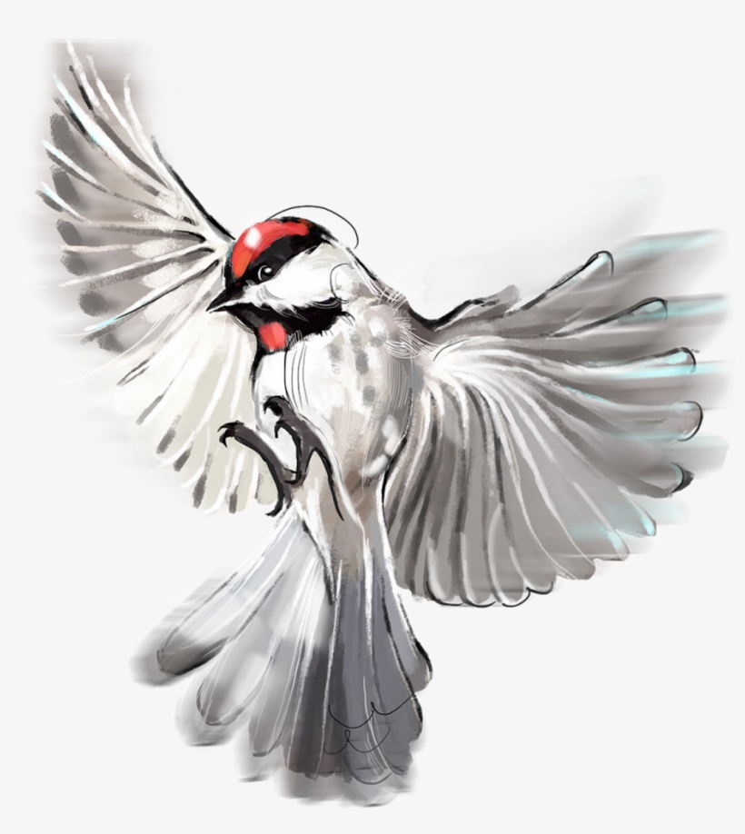 Hand, transparent png