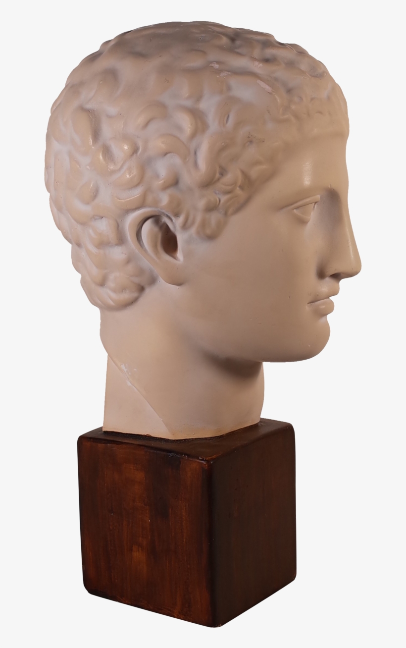 Plaster Bust Of Roman Male - Bust, transparent png