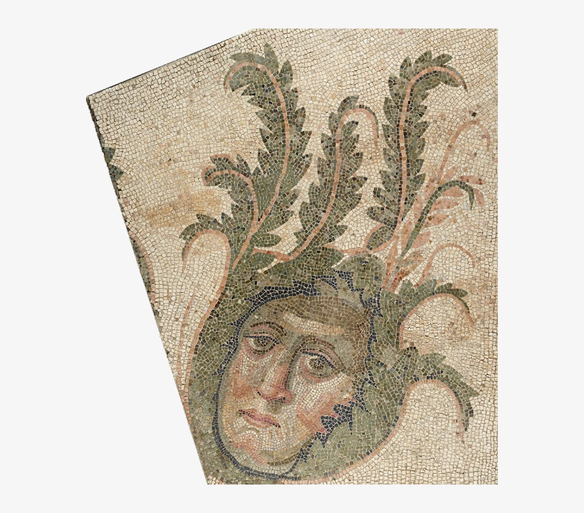 'roman Mosaics Across The Empire' At The J - Getty Villa, transparent png