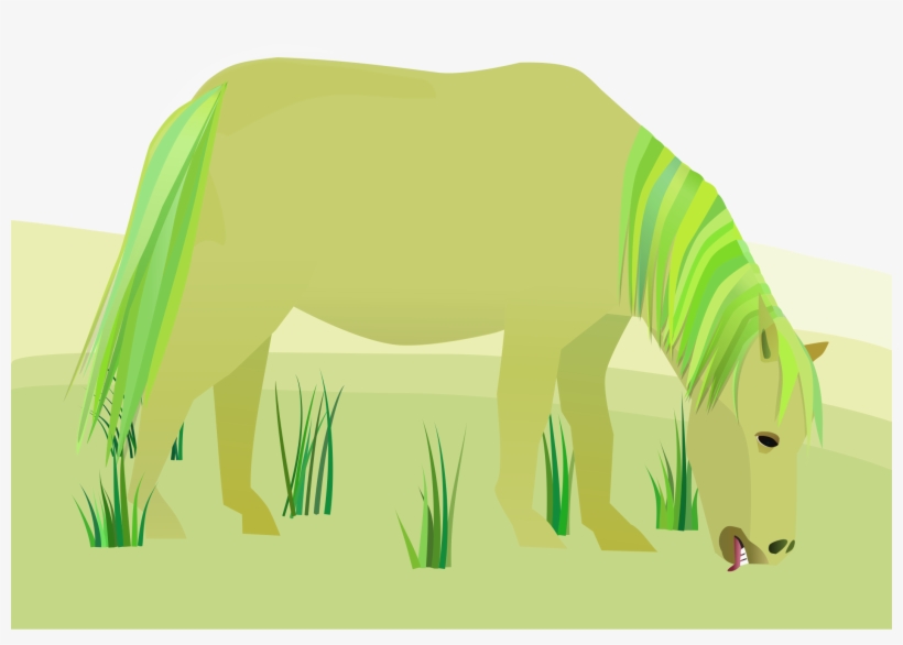Big Image - Ecosystem, transparent png