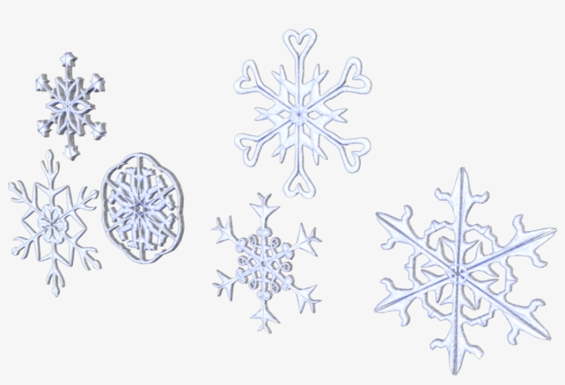 After That, I Added Color, Shading, And Texture To - Blue, transparent png