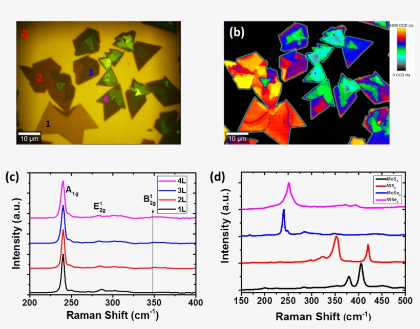 Raman2 - 2d Materials Raman Spectroscopy, transparent png