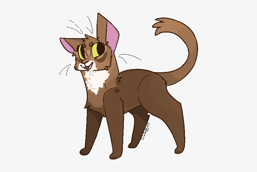 Little Abyssinian Kitty - Cat Yawns, transparent png