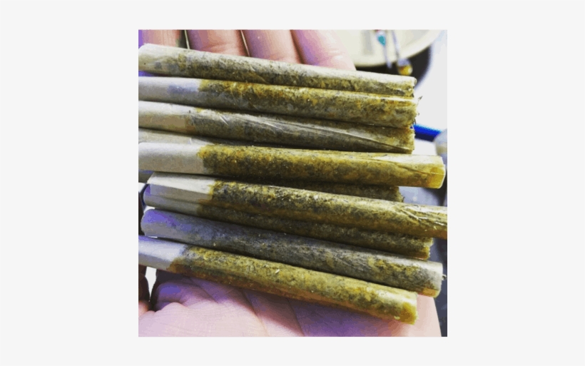 Temecula Holistic Meds Match 433x770 PNG Download PNGkit