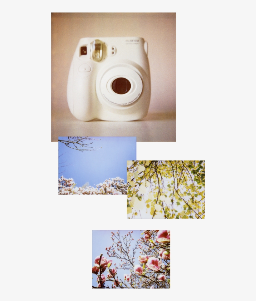 Gerri Sells Tested Polaroid Cameras Including Spectras - Do Polaroid Pictures Look, transparent png