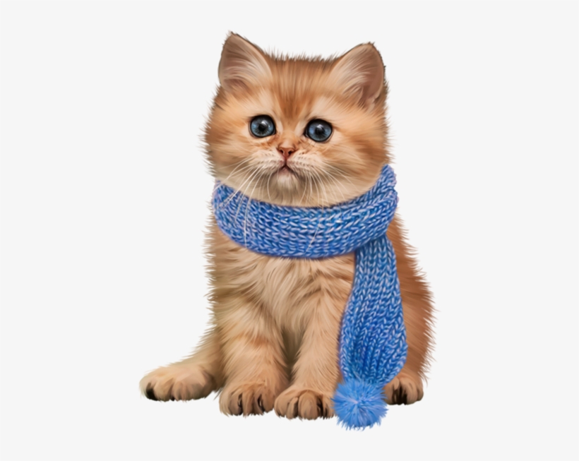 Share This Image - Chaton, transparent png