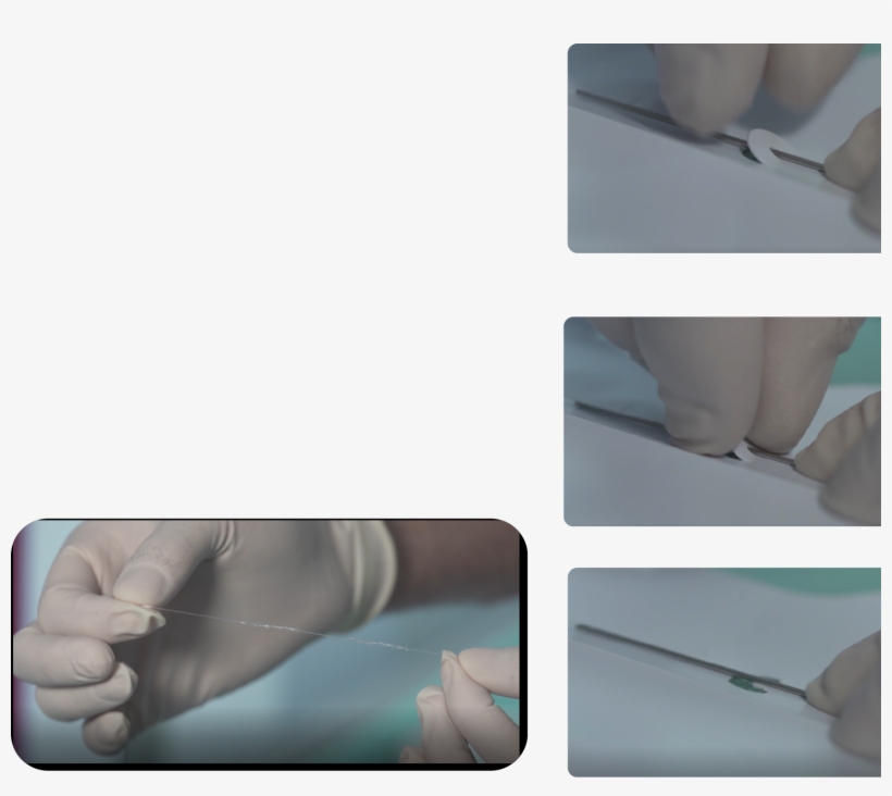 Toe, transparent png