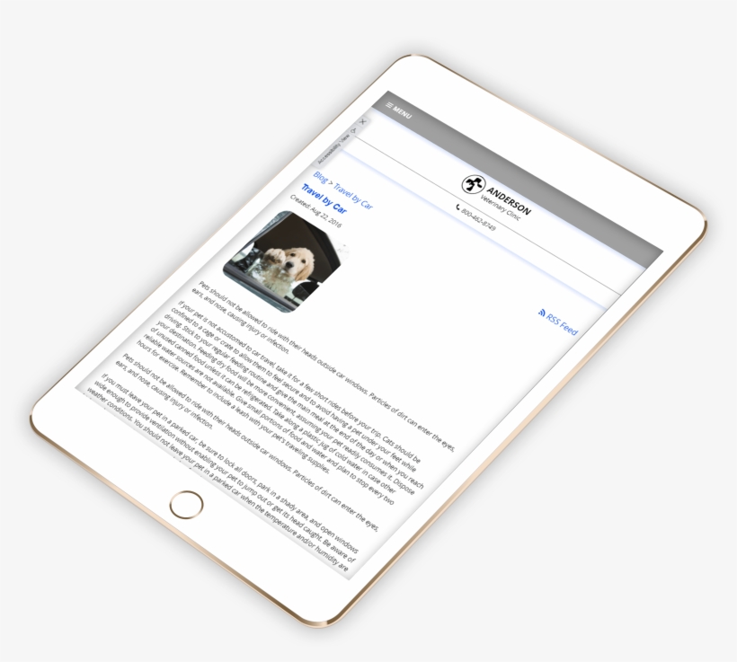Analytic Dashboard - Electronic Check Payment, transparent png