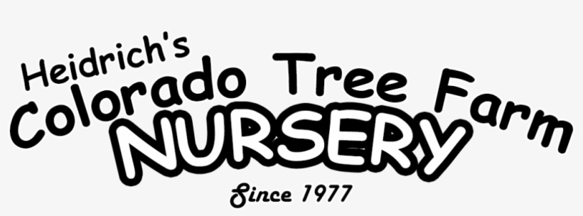 Heidrich's Colorado Tree Farm Nursery Llc Is A Family - Calligraphy, transparent png