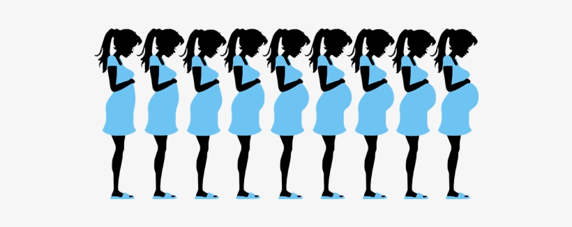 Body Of An Expectant Mother Remains Ignorant Of The - Pregnant Woman Silhouette Clip Art, transparent png