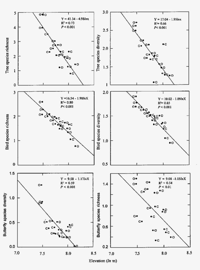 Simple Regression Comparison Of Woody Tree, Bird And - Diagram, transparent png