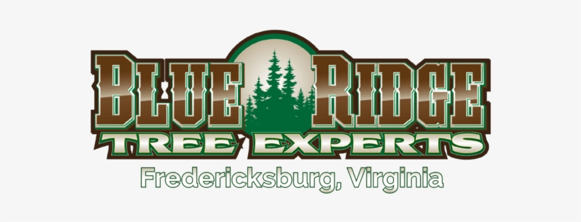 Blue Ridge Tree Experts, transparent png