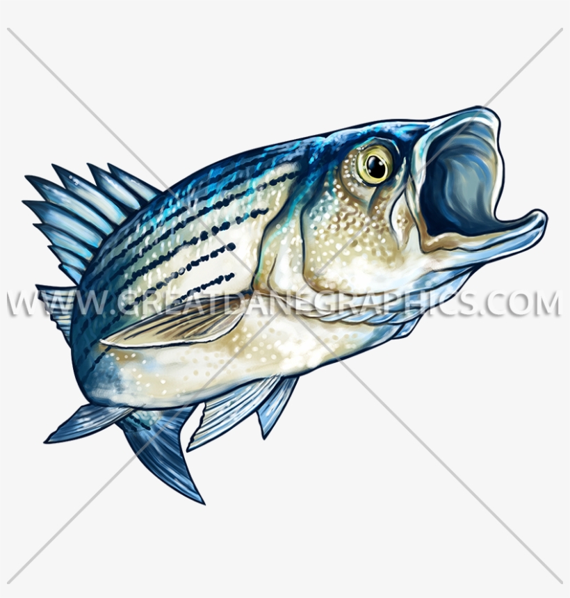 Striped Bass - Wildlife - Striped Bass Baseball Sleeve Shirt, transparent png