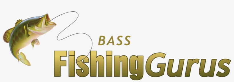 Bass Fishing Gurus - Black Bass, transparent png