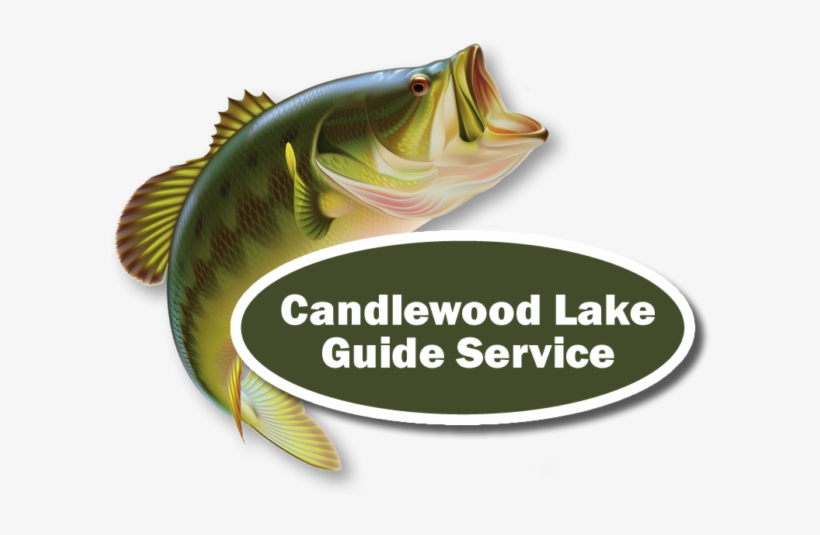 Candlewood Lake Half Day Fishing Trip - Black Bass, transparent png
