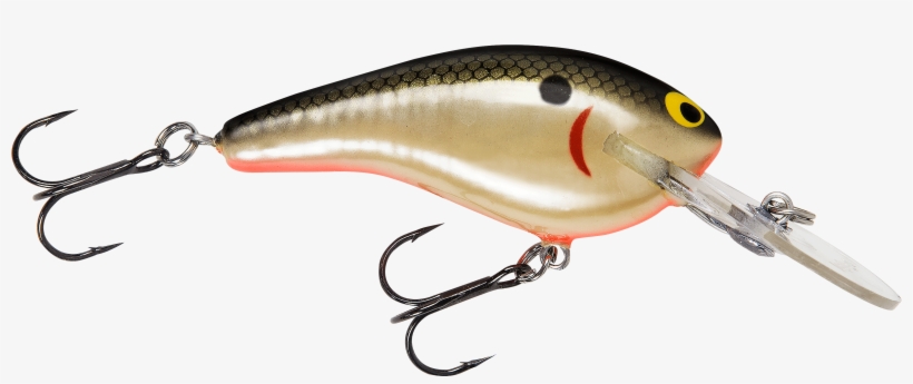Bass Fish Png Clipart Best - Bass Fishing Lures Transparent, transparent png