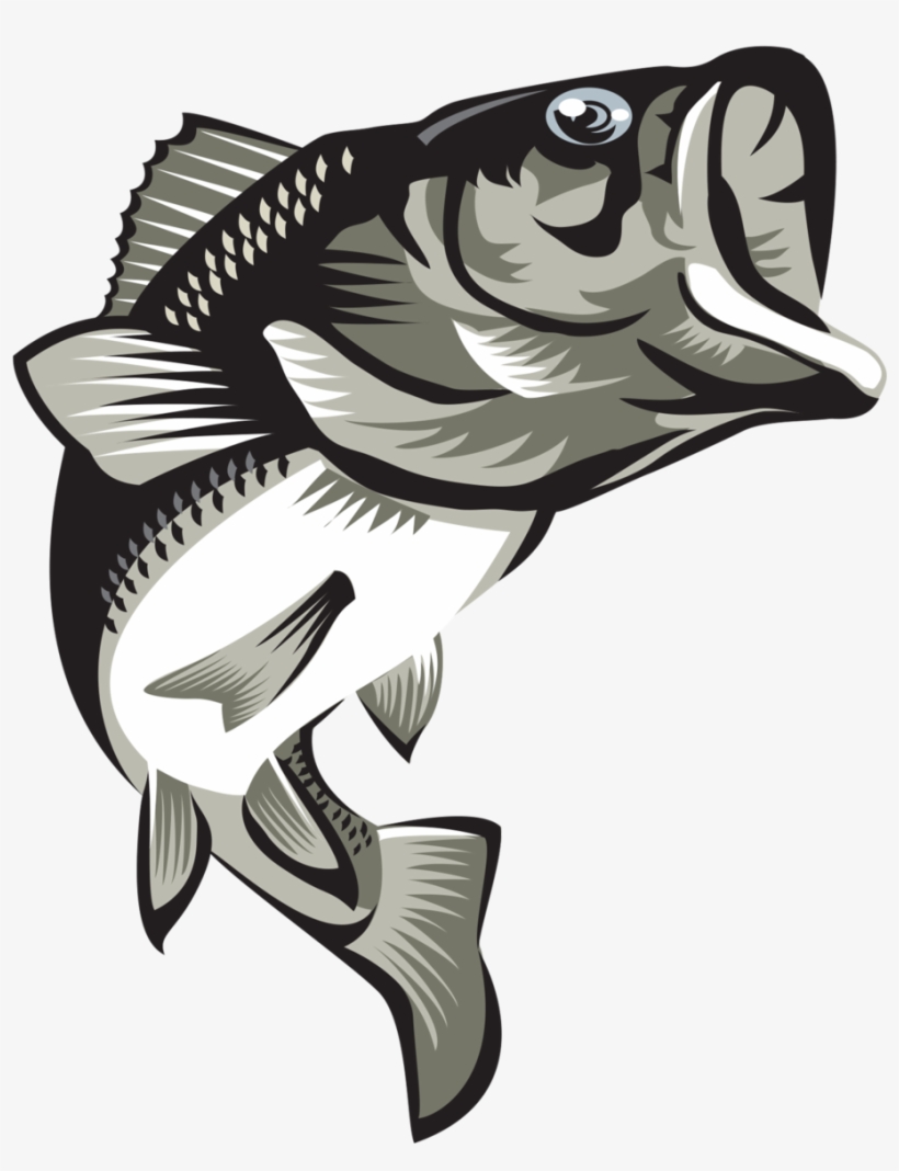 Largemouth Bass Final2coloured, transparent png