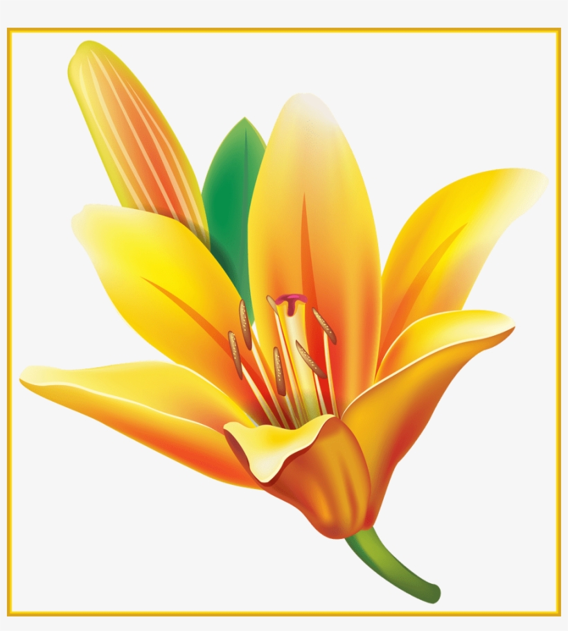 Appealing Real Flower Pencil And In Color - Flower Png, transparent png
