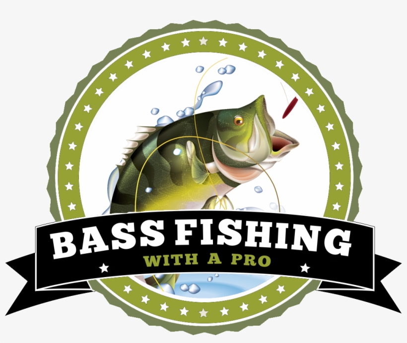 Bass Fishing, transparent png