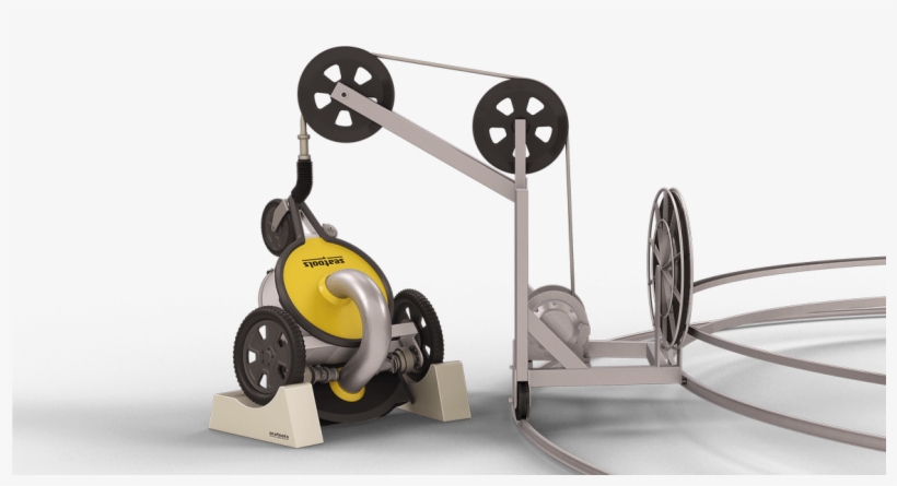 Other Features - Fish, transparent png