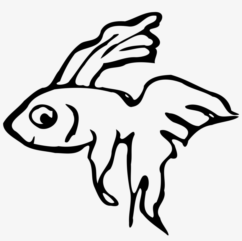 Big Image - Fighter Fish Clipart, transparent png
