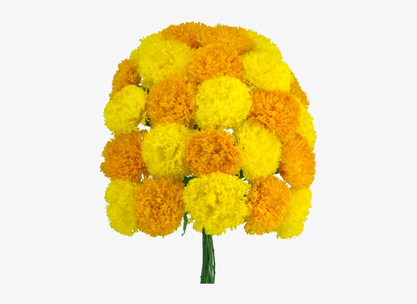 Flower Of The Dead Day Of The Dead Flowers Transparent 450x525 PNG