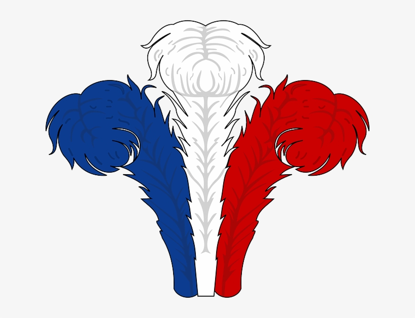 Red, Blue, White, Feathers - Rojo Azul Y Blanco, transparent png