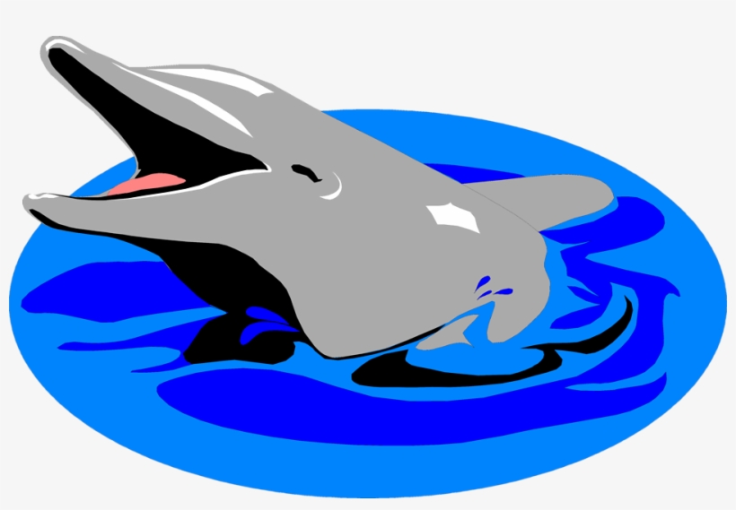 Graduation Clipart Dolphin - Dolphin In Water Clipart, transparent png