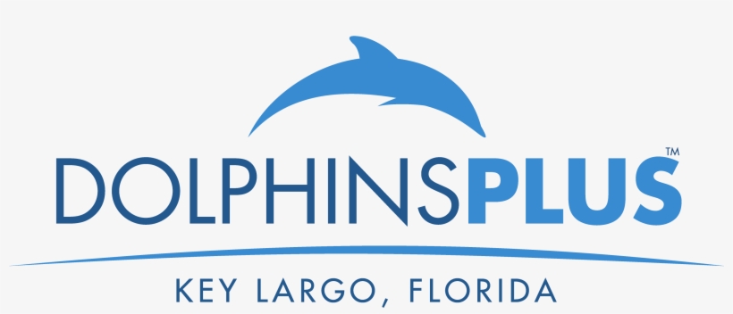 Dolphins Plus, transparent png