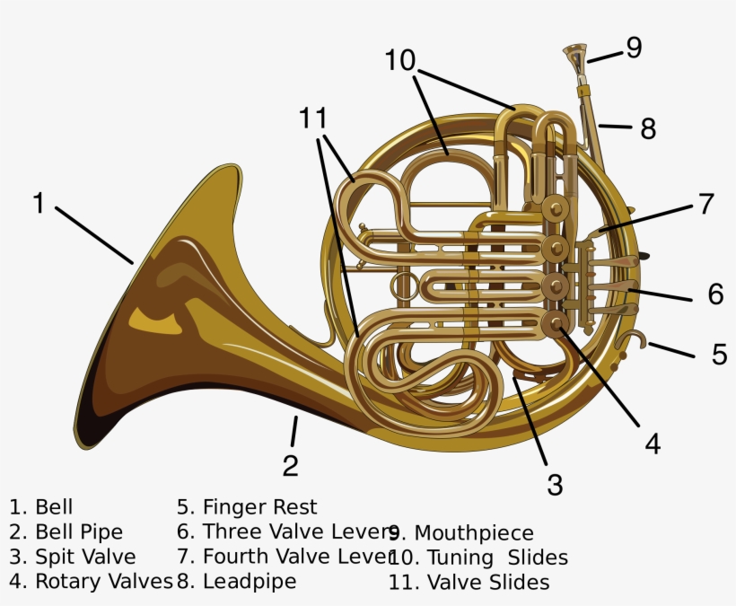 Open Double French Horn Parts 2000x1545 PNG Download PNGkit