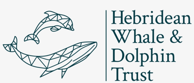 Dolphins Logo Png, transparent png