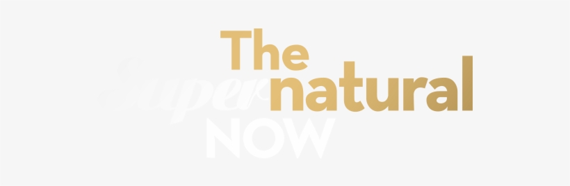 The Supernatural Now - Aeroplane, transparent png