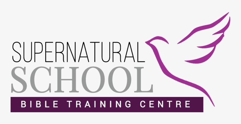 Graphic Design, transparent png