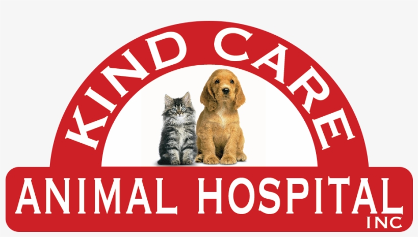 Kind Care Animal Hospital - Rescued Is My Favorite Bree Square Sticker 3" X 3", transparent png