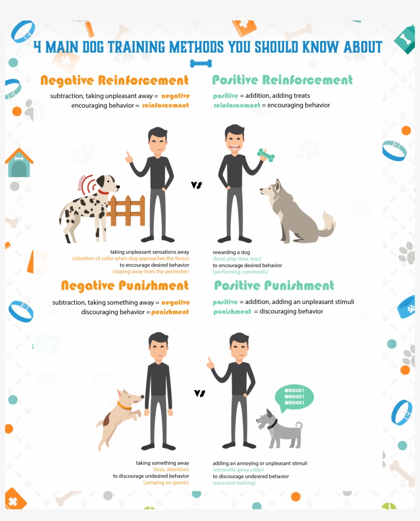 Dog Training School - School, transparent png