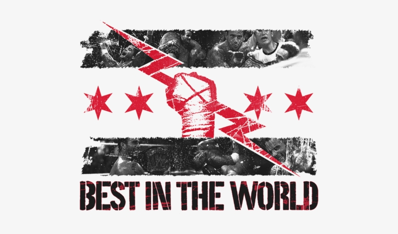 Wwe, Wrestling, And Cmpunk Image - Wwe Best In The World, transparent png