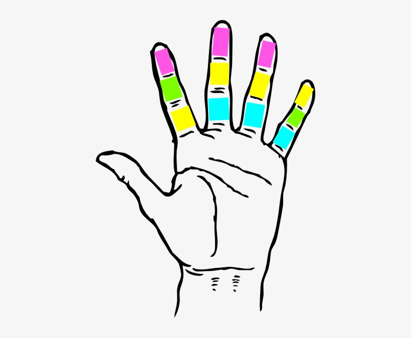Clip Art Palm Of Hand, transparent png