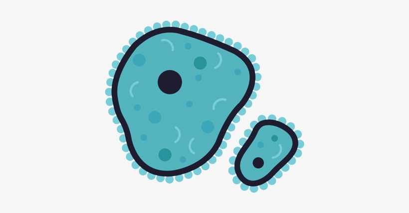 Life Science - Biology, transparent png