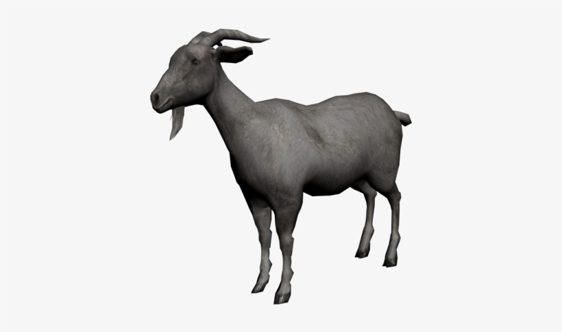 Cabra Comun2 - Imagem Cabra Png, transparent png
