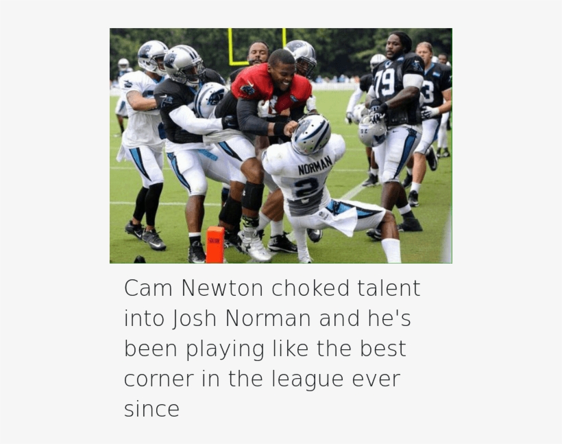 Cam Newton, Carolina Panthers, And Football - Cam Newton Josh Norman Fight, transparent png