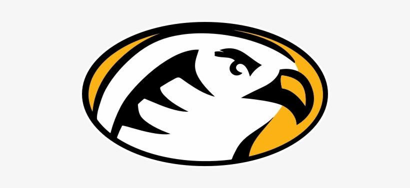 Cedar Crest College Women's Soccer - Falcons Cedar Crest College, transparent png