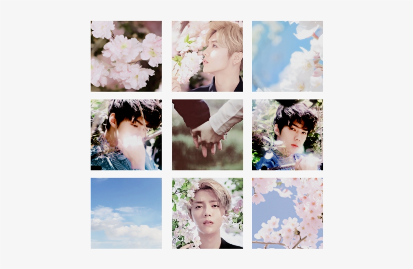 2 - Hunhan Aesthetic, transparent png