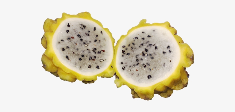 Contains Calcium - Yellow Dragon Fruit Png, transparent png