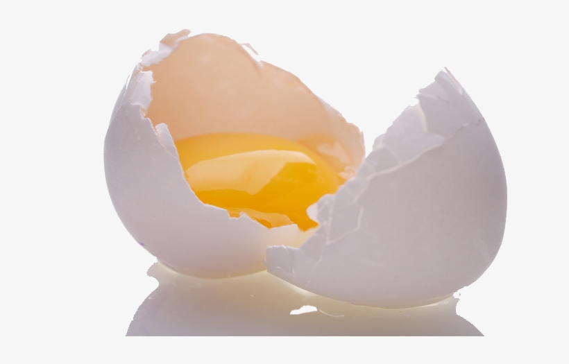 Related Wallpapers - Cracked Open Eggs, transparent png