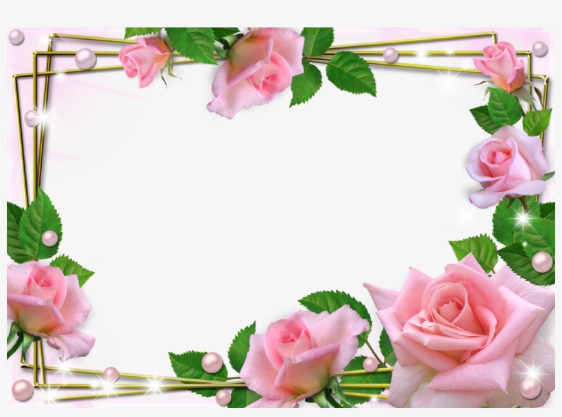 Download Transparent Beautiful Pink Roses Photo Frame Beautiful